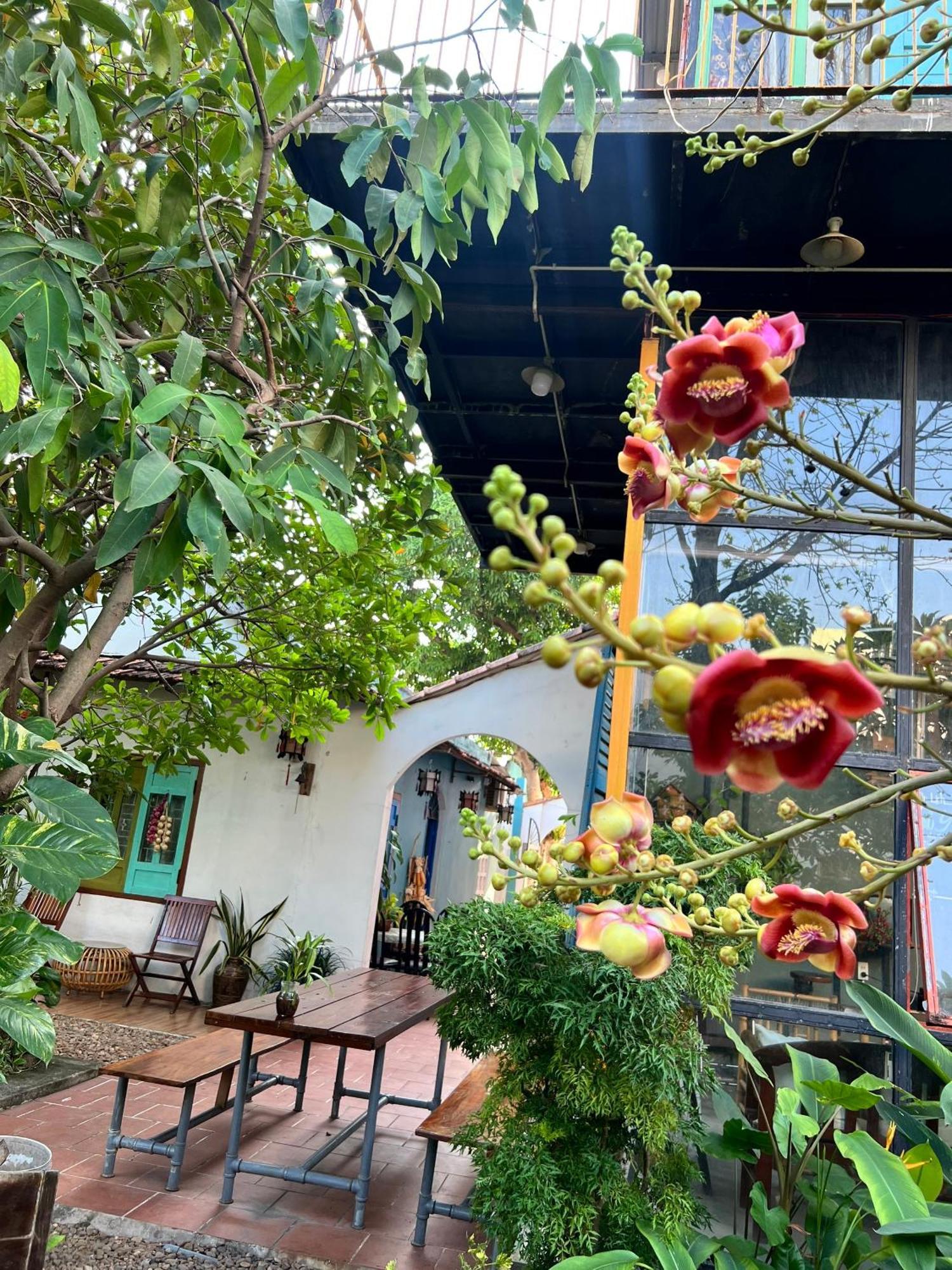 Yellow Farm Homestay Dong Tac Exterior foto